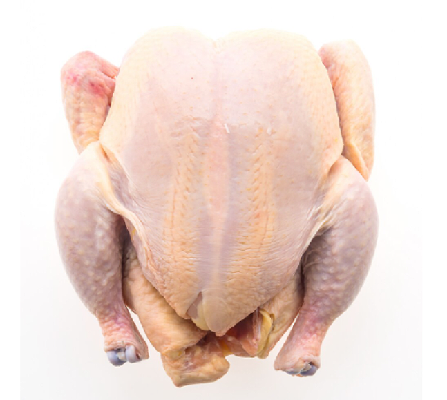 chicken for export Africa Trade Broiler Chicken, Ready Now and Scaling to 60 Tonnes